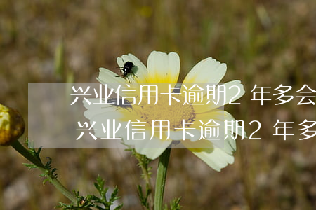 兴业信用卡逾期2年多会不会真的被起诉-兴业信用卡逾期2年多会不会真的被起诉了