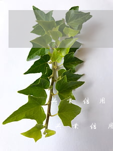 兴业信用卡逾期4天利息和违约金太高了-兴业信用卡逾期4天利息和违约金太高了怎么办