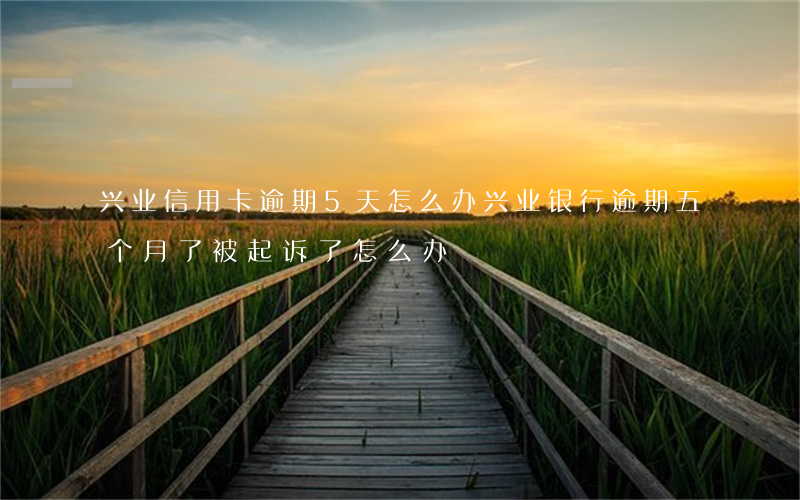 兴业信用卡逾期5天怎么办(兴业银行逾期五个月了被起诉了怎么办)