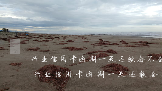 兴业信用卡逾期一天还款会不会影响征信-兴业信用卡逾期一天还款会不会影响征信