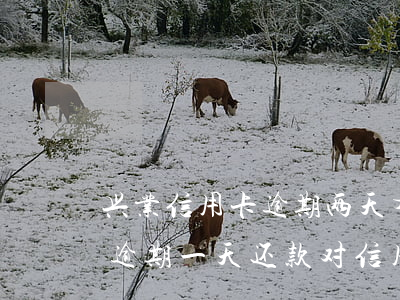 兴业信用卡逾期两天有什么影响-兴业银行逾期一天还款对信用有影响吗