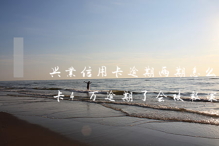 兴业信用卡逾期两期怎么办(欠兴业银行信用卡4万逾期了会被报案坐牢吗)