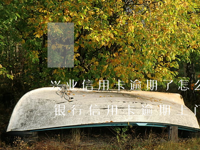 兴业信用卡逾期了怎么解决(2020年兴业银行信用卡逾期上门是真的吗)