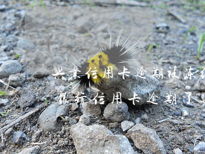兴业信用卡逾期被冻结怎么办邮政-我兴业银行信用卡逾期了还不上怎么办