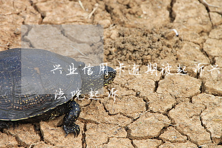 兴业信用卡逾期被起诉(兴业信用卡逾期说要法院起诉)
