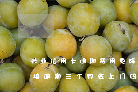 兴业信用卡逾期费用免除(欠兴业信用卡六千块逾期三个月会上门吗)