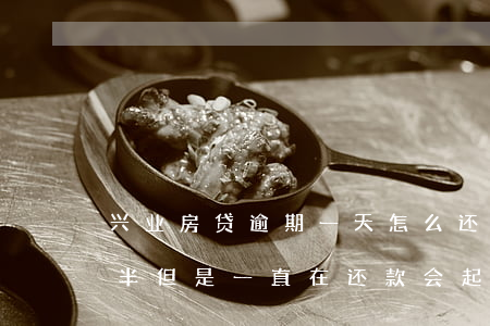 兴业房贷逾期一天怎么还(兴业银行逾期一年半但是一直在还款会起诉吗)