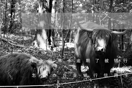 兴业行用卡逾期了,被银行起诉到人民法院了怎么办（兴业银行信用卡逾期多久会被起诉）