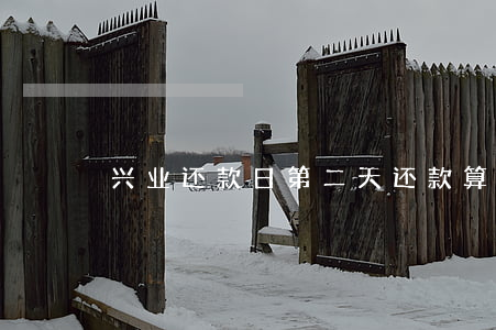 兴业还款日第二天还款算逾期不-