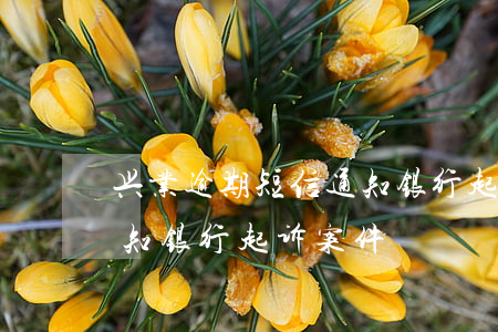 兴业逾期短信通知银行起诉(兴业逾期短信通知银行起诉案件)