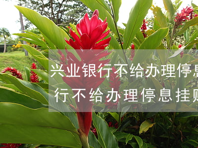 兴业银行不给办理停息挂账怎么办-兴业银行不给办理停息挂账怎么办呢