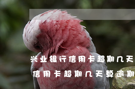 兴业银行信用卡超期几天算逾期-兴业银行信用卡超期几天算逾期吗