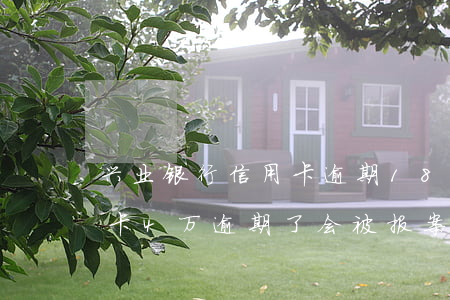 兴业银行信用卡逾期18万(欠兴业银行信用卡4万逾期了会被报案坐牢吗)