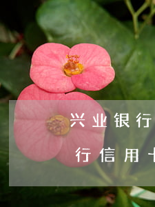兴业银行信用卡逾期2万会坐牢吗-兴业银行信用卡逾期2万会坐牢吗知乎