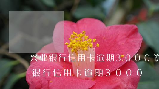 兴业银行信用卡逾期3000说要起诉（兴业银行信用卡逾期3000）