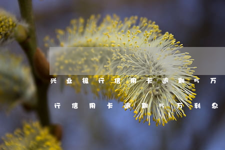 兴业银行信用卡逾期5万利息多少-兴业银行信用卡逾期5万利息多少钱