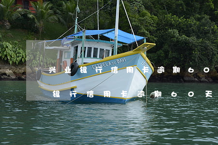 兴业银行信用卡逾期60天会上门吗-兴业银行信用卡逾期60天会上门吗怎么办