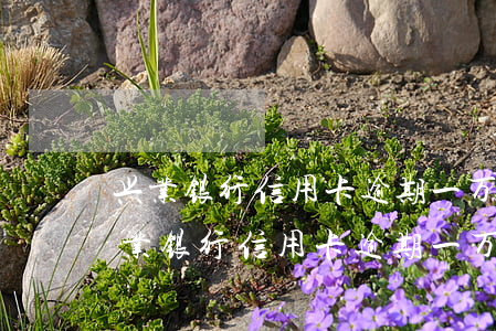 兴业银行信用卡逾期一万多会被起诉吗-兴业银行信用卡逾期一万多会被起诉吗知乎