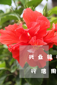 兴业银行信用卡逾期一天有影响吗-兴业银行信用卡逾期一天有影响吗知乎