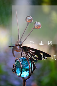 兴业银行信用卡 逾期一天有没有影响?（兴业银行信用卡逾期坐牢的多吗）