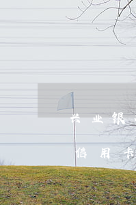 兴业银行信用卡逾期三个月可以吗(兴业银行信用卡3天宽限期)