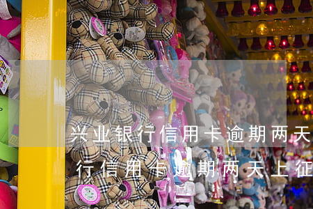 兴业银行信用卡逾期两天上征信吗-兴业银行信用卡逾期两天上征信吗有影响吗