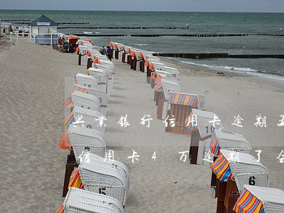 兴业银行信用卡逾期五万怎么办(欠兴业银行信用卡4万逾期了会被报案坐牢吗)