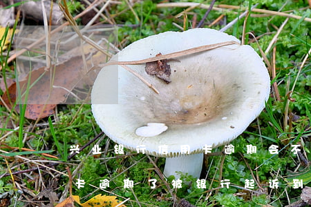 兴业银行信用卡逾期会不会被起诉(兴业行用卡逾期了,被银行起诉到人民法院了怎么办)