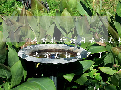 兴业银行信用卡逾期协商不了 兴业银行信用卡逾期协商不了