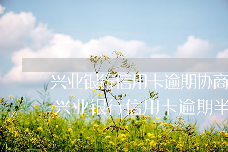 兴业银行信用卡逾期协商好处理吗-有没有兴业银行信用卡逾期半年以上的