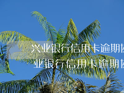 兴业银行信用卡逾期协商还款政策最新-兴业银行信用卡逾期协商还款政策最新规定