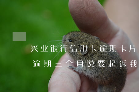 兴业银行信用卡逾期卡片冻结了-兴业银行逾期三个月说要起诉我,然后冻结卡片
