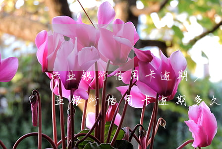 兴业银行信用卡逾期多久会被起诉坐牢-兴业银行信用卡逾期多久会被起诉坐牢 知乎