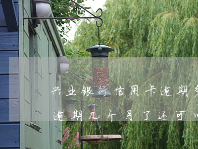 兴业银行信用卡逾期多久协商不了 兴业银行逾期几个月了,还可以办理分期吗