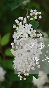 兴业银行信用卡逾期永久停卡(兴业银行逾期停卡还完会恢复用卡吗?)