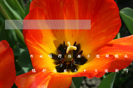 兴业银行信用卡逾期被注销怎么还-欠兴业银行信用卡4万逾期了会被报案坐牢吗