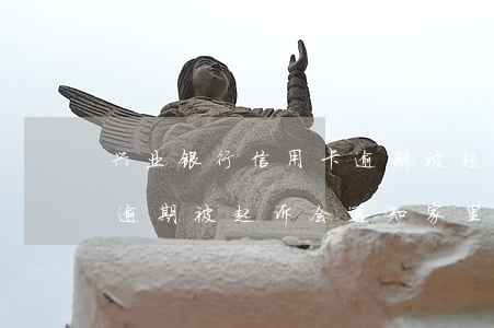兴业银行信用卡逾期被起诉(兴业银行信用卡逾期被起诉会通知家里人吗)