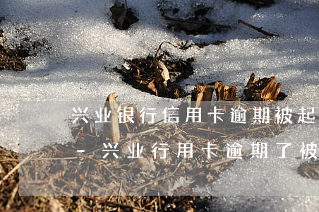 兴业银行信用卡逾期被起诉立案后会坐牢吗-兴业行用卡逾期了,被银行起诉到人民法院了怎么办