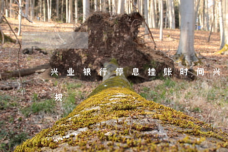 兴业银行停息挂账时间 兴业银行停息挂账新规