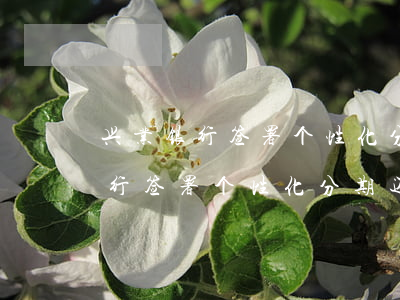 兴业银行签署个性化分期还款流程-兴业银行签署个性化分期还款流程是什么