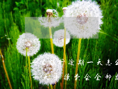 兴业银行逾期一天怎么补救(兴业银行卡逾期一天手续费会全部加强来嘛)