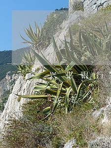 兴业银行逾期 兴业银行逾期后不同意分期还款怎么办