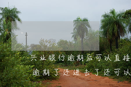 兴业银行逾期后可以直接还本金么(兴业信用逾期了还进去了还可以用吗?)