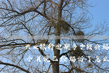 兴业银行逾期多少钱会起诉(兴业银行逾期两个月说已经起诉了怎么办)