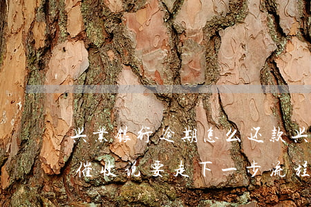 兴业银行逾期怎么还款(兴业银行逾期半个月催收说要走下一步流程)