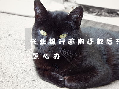 兴业银行逾期还款后(兴业银行迟了5天还款怎么办)