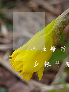兴业银行银行卡短信提醒延迟怎么回事-兴业银行银行卡短信提醒延迟怎么回事啊