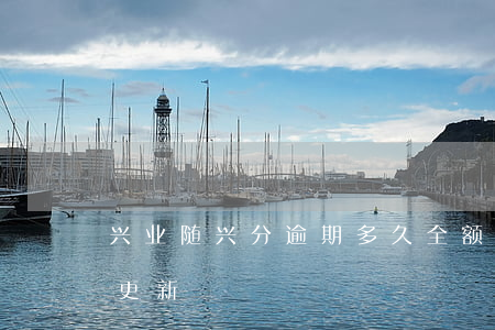 兴业随兴分逾期多久全额还(兴业随兴分多久更新)