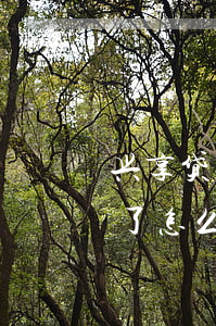 兴享贷还不上怎么办?(兴业银行兴享贷还不起了怎么处理)