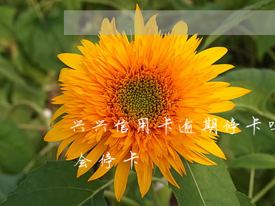 兴兴信用卡逾期停卡吗 民生信用卡 逾期多久 会停卡